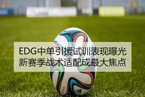 EDG中单引援试训表现曝光 新赛季战术适配成最大焦点